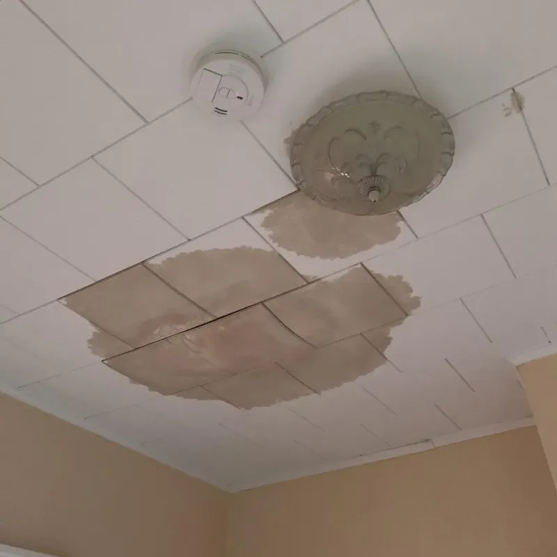 Ceiling Water Damage Repair in Wedowee, AL