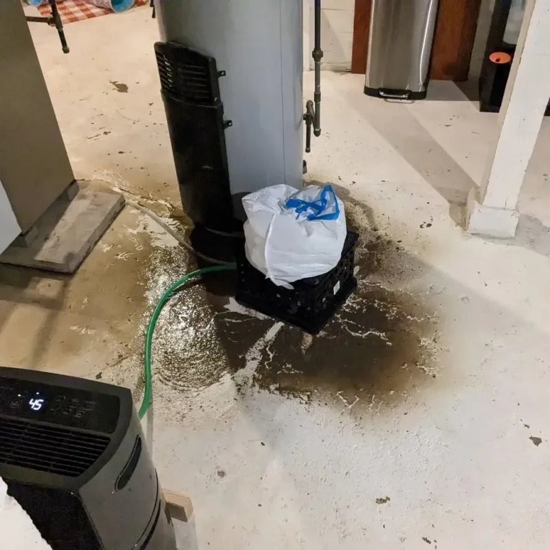 Sewage Backup Cleanup Service in Wedowee, AL